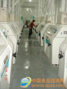 多種標(biāo)粉采購(gòu)代理服務(wù)全解析