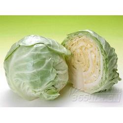 廣東糖類產品與蔬菜的批發(fā)、供應及廠家資源整合