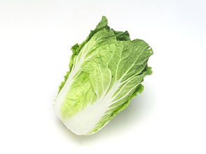 虎門酒店蔬菜配送與內陸水產養(yǎng)殖銷售——專業(yè)周到的食材供應解決方案