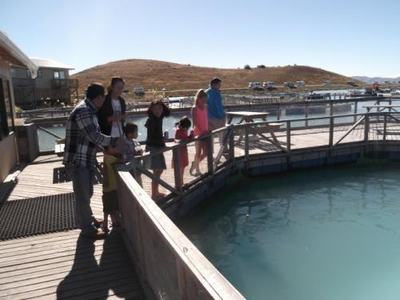 辦理養殖證,去那個部門辦理?