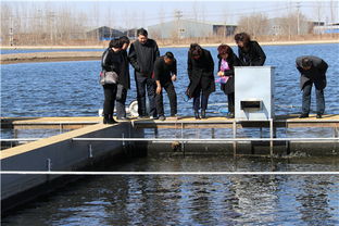 天津市水產產業技術體系創新團隊首席專家邢克智教授帶隊赴東麗區、濱海新區指導內陸水產養殖銷售工作