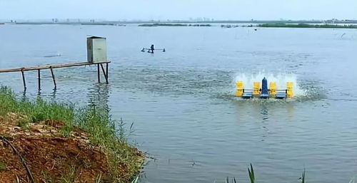 五月水產管理不動真格，年底收益就得承受代價